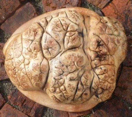 7_thinking-cap-5_LRG